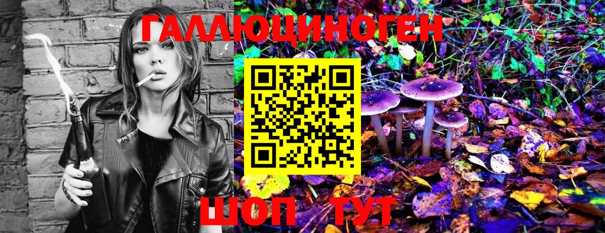 Кузнецк  Псилоцибиновые грибы Cubensis  Псилоцибиновые грибы MAGIC MUSHROOMS  Вход с VPN 